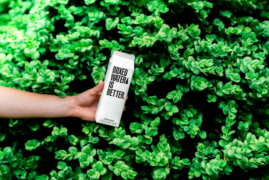 Delicious and Sustainable: Brownie Edible Packaging 22 Photo Eco-friendly packaging