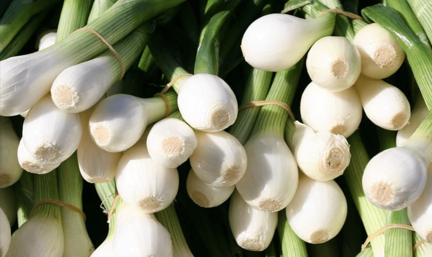 Cambray Onions : Recipes, Health Benefits & Why They’re Better Than Scallions 3 Cambray Onions